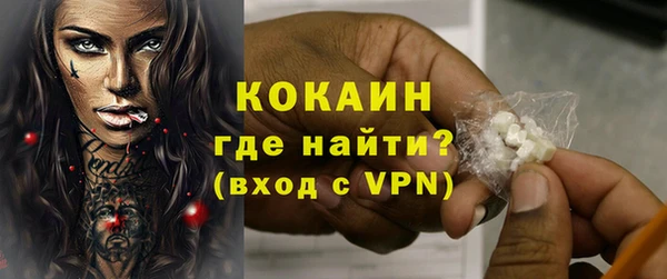 ПСИЛОЦИБИНОВЫЕ ГРИБЫ Коряжма