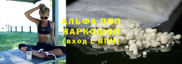 ПСИЛОЦИБИНОВЫЕ ГРИБЫ Корсаков