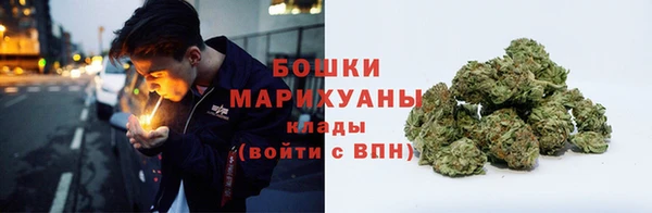 ПСИЛОЦИБИНОВЫЕ ГРИБЫ Коряжма