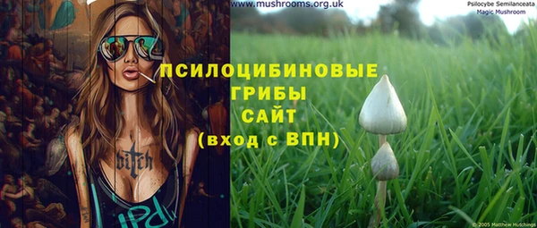 ПСИЛОЦИБИНОВЫЕ ГРИБЫ Корсаков
