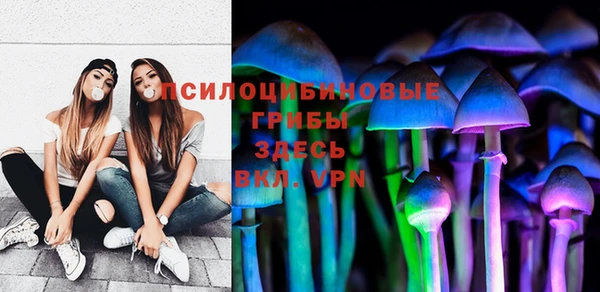 ПСИЛОЦИБИНОВЫЕ ГРИБЫ Коряжма