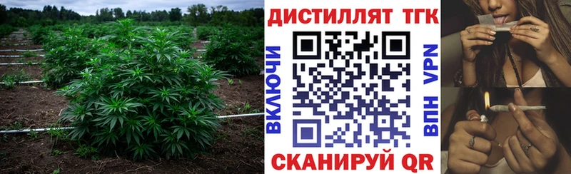 Купить где  Мостовской  Дистиллят ТГК THC oil 