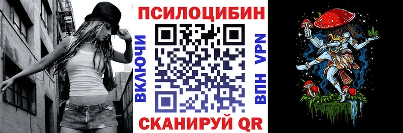 Купить  Мостовской  Галлюциногенные грибы MAGIC MUSHROOMS 